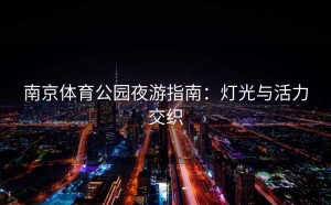 南京体育公园夜游指南：灯光与活力交织