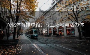 兴化体育排球馆：专业场地与活力体验