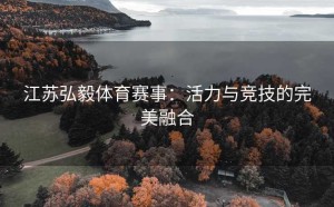 江苏弘毅体育赛事：活力与竞技的完美融合