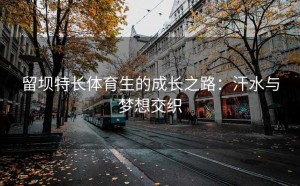 留坝特长体育生的成长之路：汗水与梦想交织