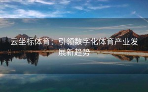 云坐标体育：引领数字化体育产业发展新趋势