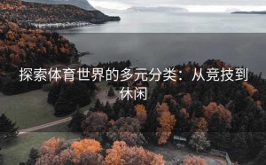 探索体育世界的多元分类：从竞技到休闲