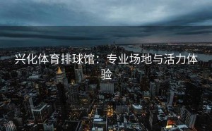 兴化体育排球馆：专业场地与活力体验
