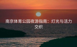 南京体育公园夜游指南：灯光与活力交织