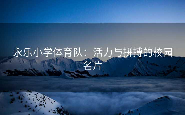 永乐小学体育队：活力与拼搏的校园名片