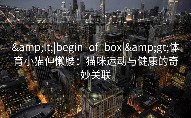 &lt;|begin_of_box|&gt;体育小猫伸懒腰：猫咪运动与健康的奇妙关联