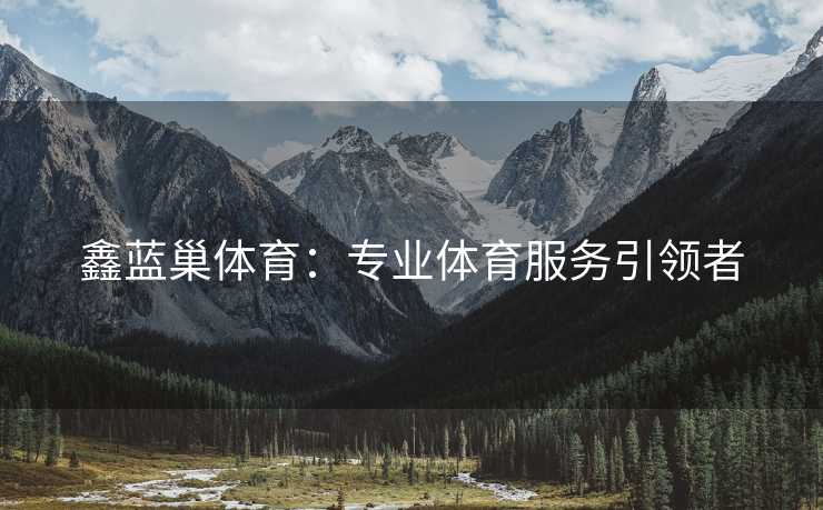 鑫蓝巢体育：专业体育服务引领者