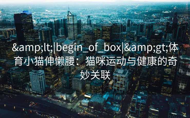 &lt;|begin_of_box|&gt;体育小猫伸懒腰：猫咪运动与健康的奇妙关联