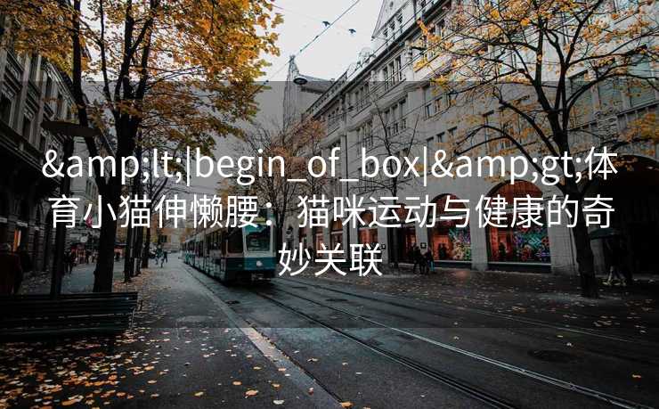 &lt;|begin_of_box|&gt;体育小猫伸懒腰：猫咪运动与健康的奇妙关联