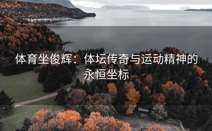 体育坐俊辉：体坛传奇与运动精神的永恒坐标