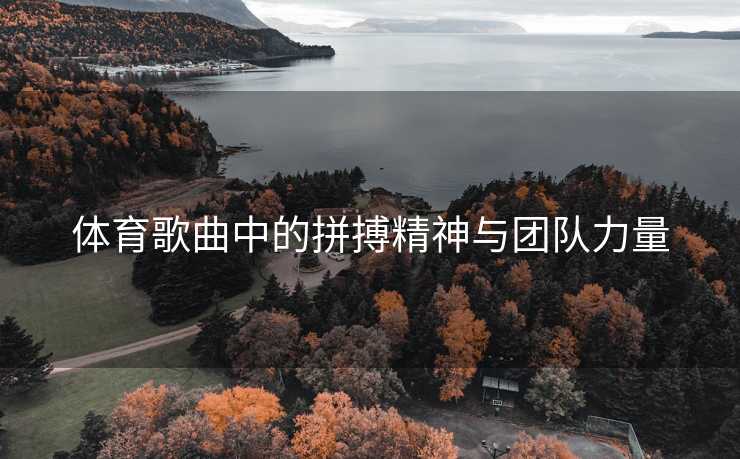 体育歌曲中的拼搏精神与团队力量