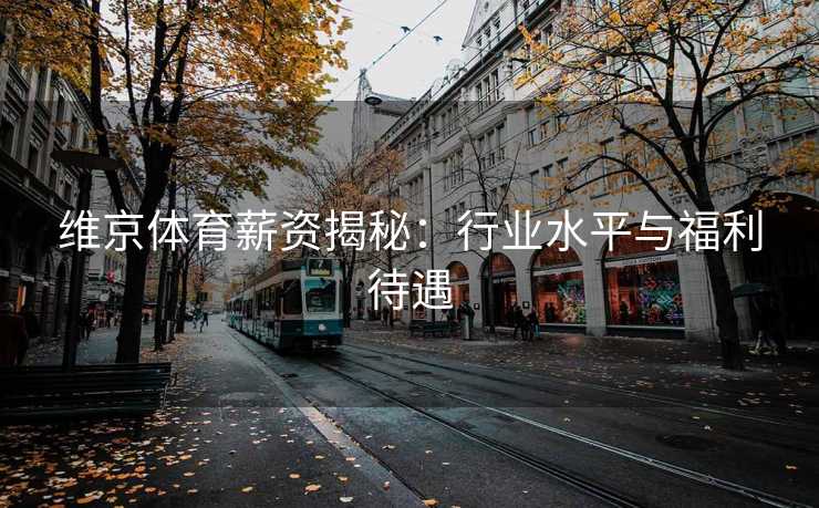 维京体育薪资揭秘：行业水平与福利待遇