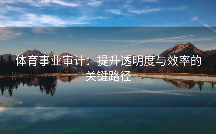 体育事业审计：提升透明度与效率的关键路径