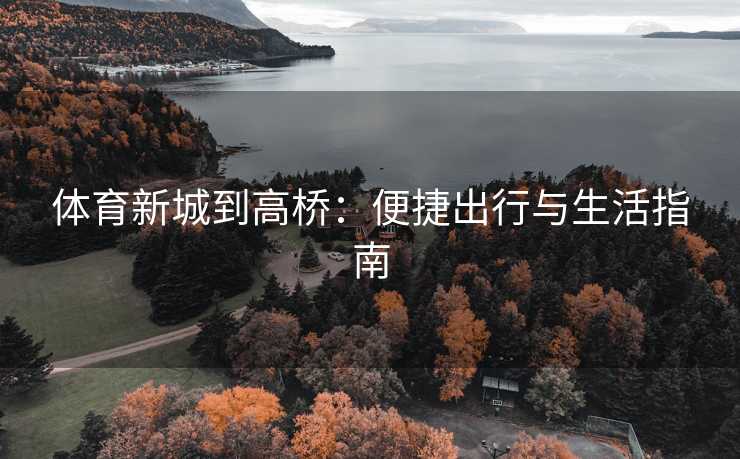 体育新城到高桥：便捷出行与生活指南