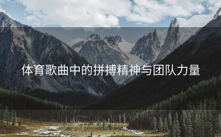 体育歌曲中的拼搏精神与团队力量