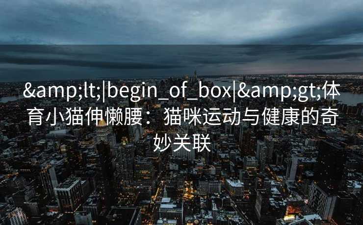 &lt;|begin_of_box|&gt;体育小猫伸懒腰：猫咪运动与健康的奇妙关联