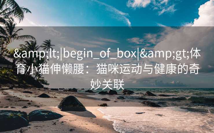 &lt;|begin_of_box|&gt;体育小猫伸懒腰：猫咪运动与健康的奇妙关联