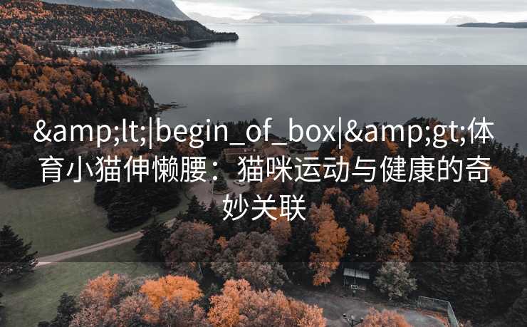 &lt;|begin_of_box|&gt;体育小猫伸懒腰：猫咪运动与健康的奇妙关联