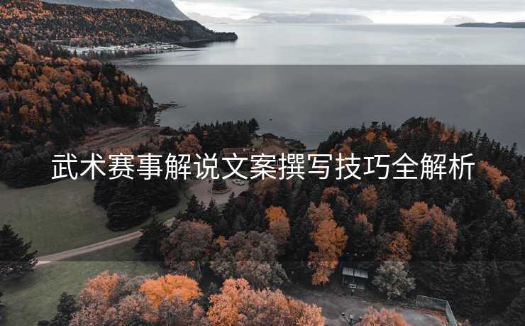 武术赛事解说文案撰写技巧全解析