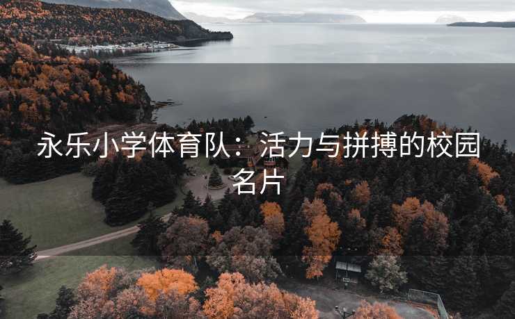 永乐小学体育队：活力与拼搏的校园名片