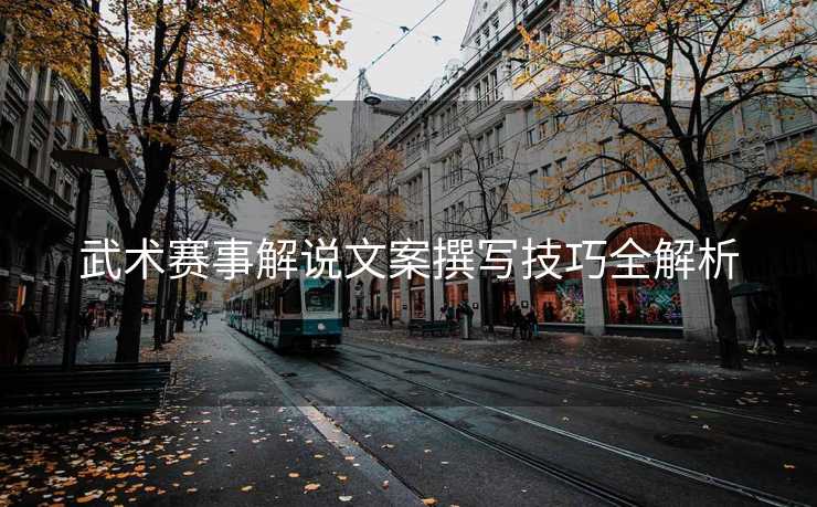 武术赛事解说文案撰写技巧全解析
