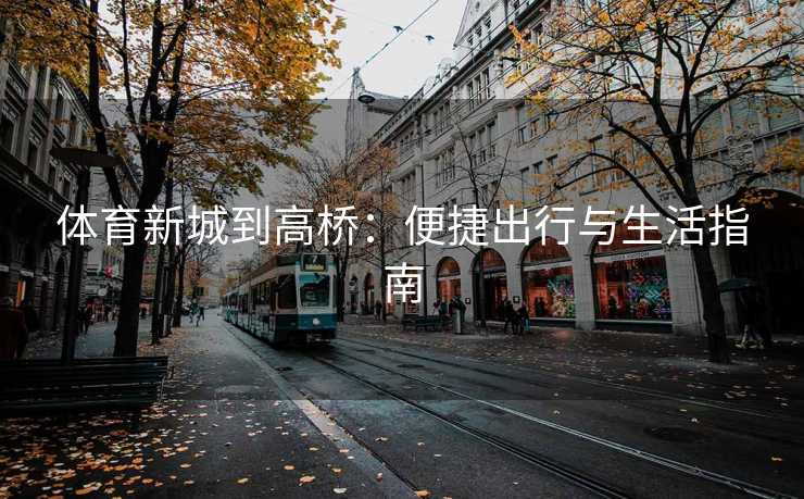体育新城到高桥：便捷出行与生活指南
