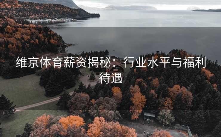 维京体育薪资揭秘：行业水平与福利待遇