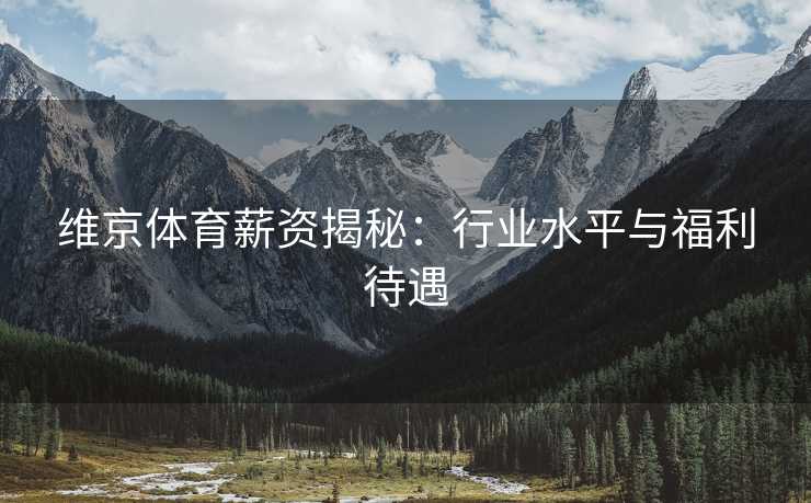 维京体育薪资揭秘：行业水平与福利待遇