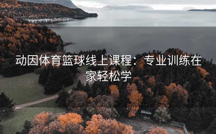 动因体育篮球线上课程：专业训练在家轻松学