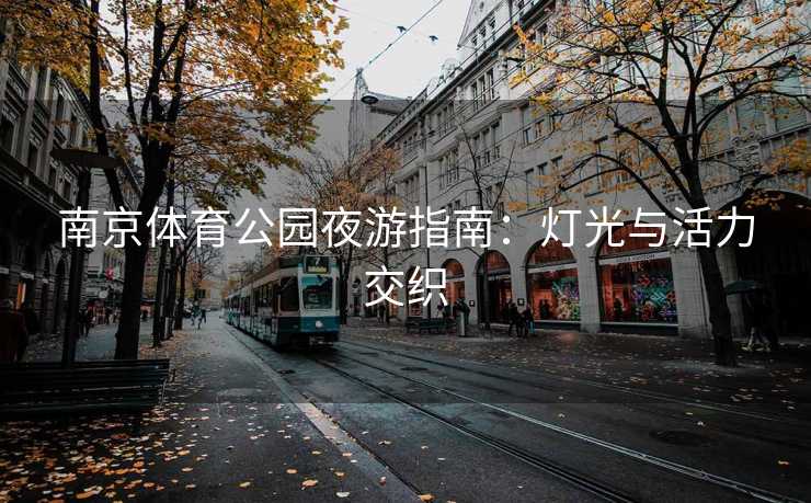 南京体育公园夜游指南：灯光与活力交织