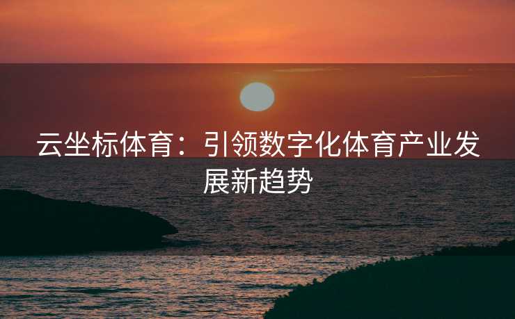云坐标体育：引领数字化体育产业发展新趋势
