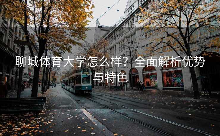 聊城体育大学怎么样?全面解析优势与特色 聊城体育大学怎么样?全面解析优势与特色