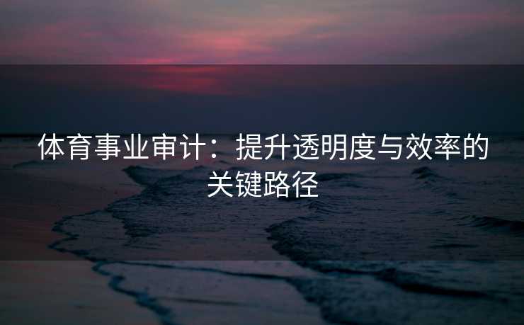体育事业审计:提升透明度与效率的关键路径 体育事业审计:提升透明度与效率的关键路径