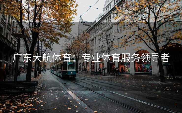 广东大航体育：专业体育服务领导者