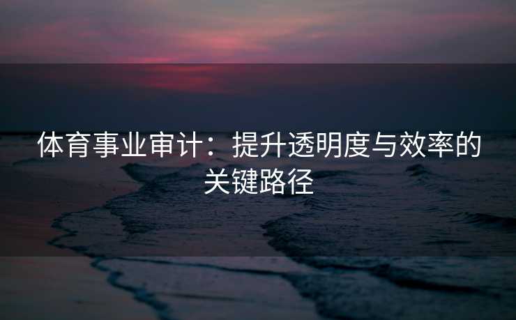 体育事业审计:提升透明度与效率的关键路径 体育事业审计:提升透明度与效率的关键路径