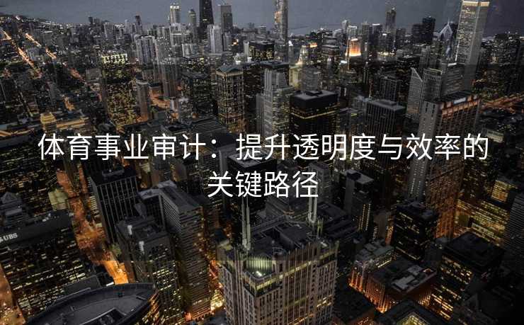 体育事业审计:提升透明度与效率的关键路径 体育事业审计:提升透明度与效率的关键路径