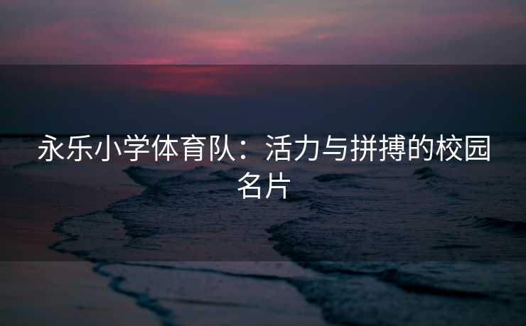 永乐小学体育队：活力与拼搏的校园名片