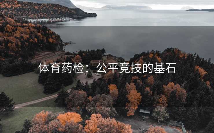 体育药检：公平竞技的基石