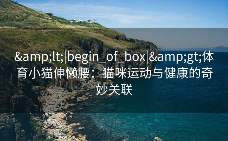 <|begin_of_box|>体育小猫伸懒腰:猫咪运动与健康的奇妙关联 <|begin_of_box|>体育小猫伸懒腰:猫咪运动与健康的奇妙关联