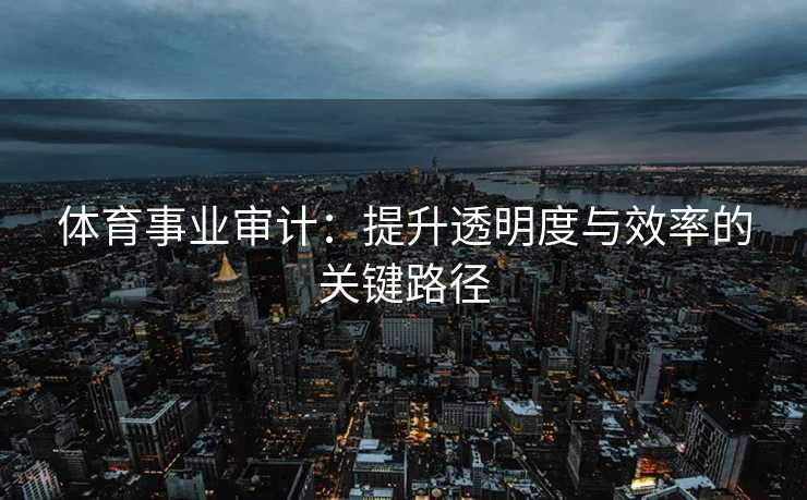 体育事业审计:提升透明度与效率的关键路径 体育事业审计:提升透明度与效率的关键路径