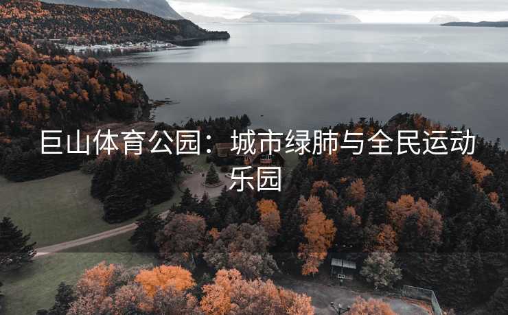 巨山体育公园:城市绿肺与全民运动乐园 巨山体育公园:城市绿肺与全民运动乐园